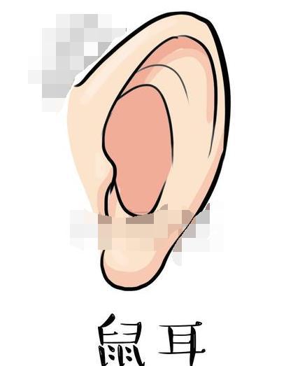 什么样的耳朵有福图解