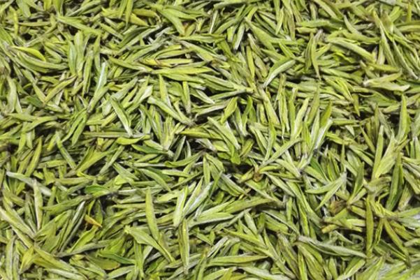 安吉白茶的储存方法和条件 安吉白茶是烘青还是炒青