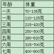 在家就能给猫咪做体检？！注意这四点就够了！！！（自行给猫咪做健康体检的方法）